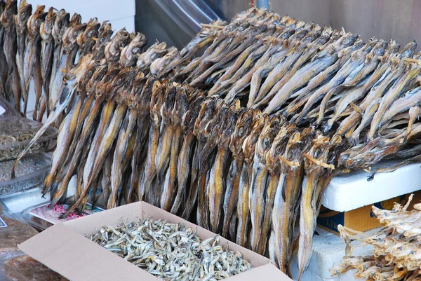 Torkade sardiner fisk — Stockfoto