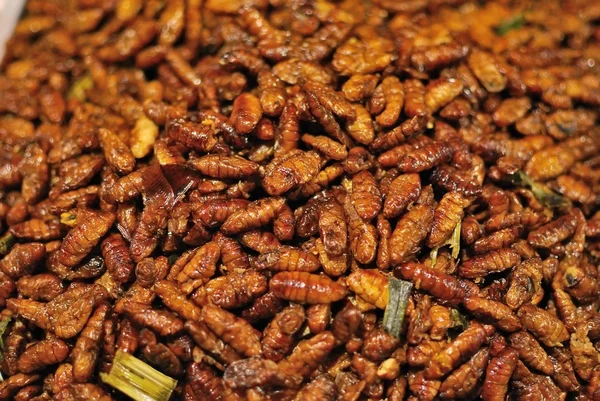 stock image Fried cicada as snack