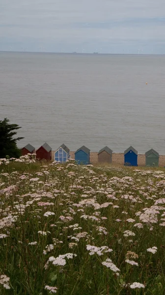 Meadow and Beach Huts — Stock Photo, Image