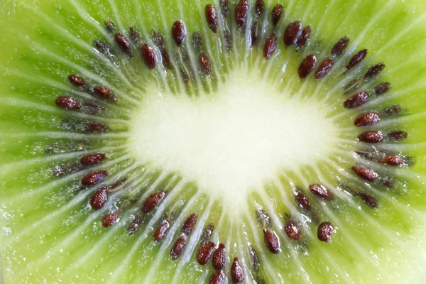 stock image Cross Section Of Kiwi