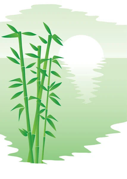 Bambu e sol — Vetor de Stock