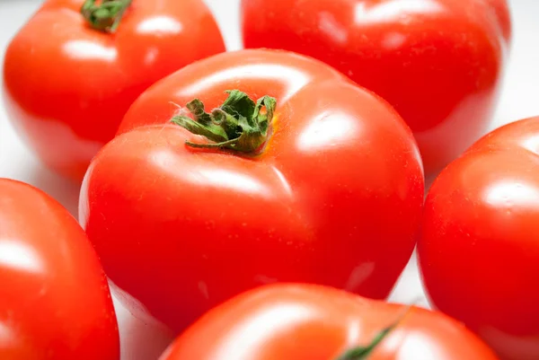 stock image Tomato