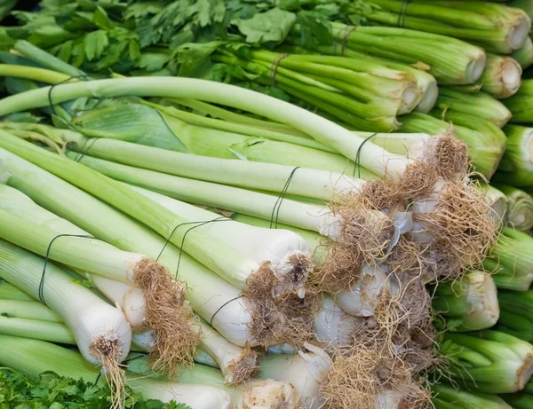 stock image A Bunches Of Fresh Healthy Leek And Celery