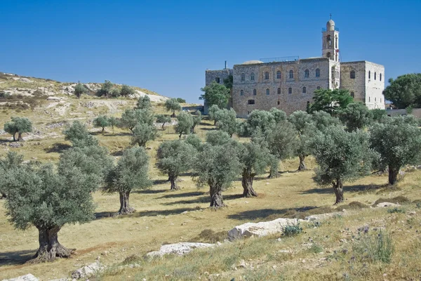 在典型的圣经景观的耶路撒冷圣伊莱亚斯修道院 图库照片