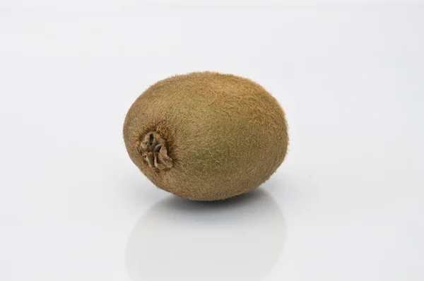 A kiwi who has not shaved on a white background — Stock Photo, Image