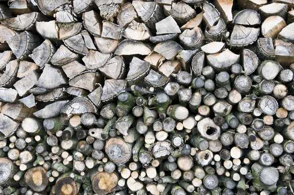 stock image Wood Mite drying for the winter