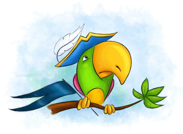 Pirát papoušek — Stock fotografie