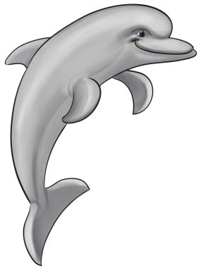 Gray dolphin clipart