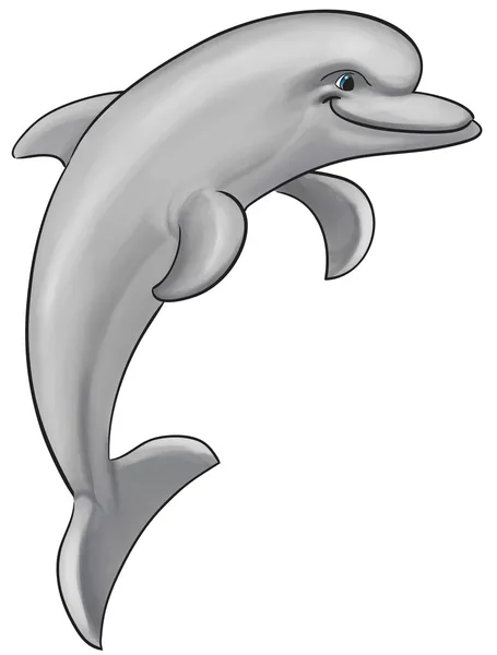 Сірий Дельфін — стокове фото