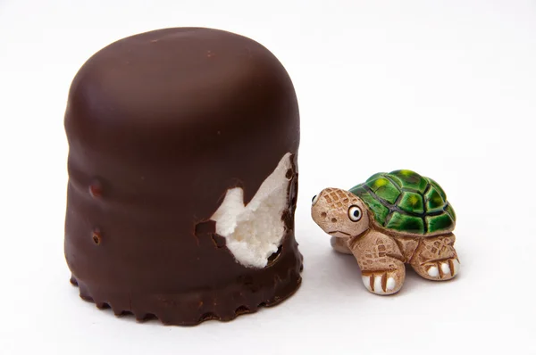 Schildkröte frisst Schokolade-Marshmallow — Stockfoto