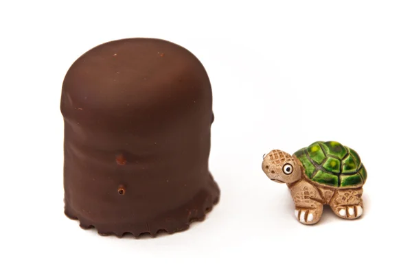 stock image Turtle in Front of chocolate