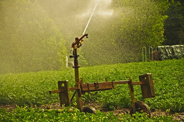 stock image Watering the Fields