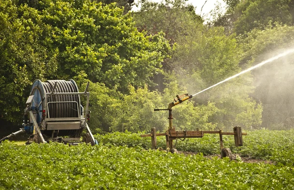 Irrigation System — Stock Photo, Image