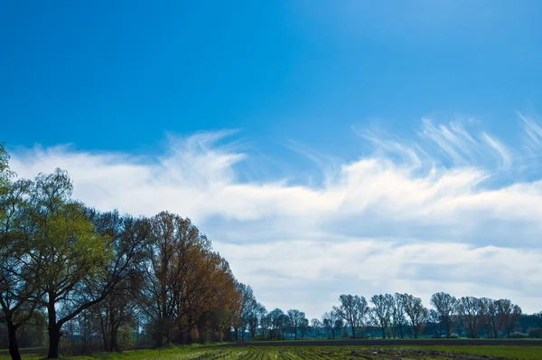 bulutlar, bahar zamanı