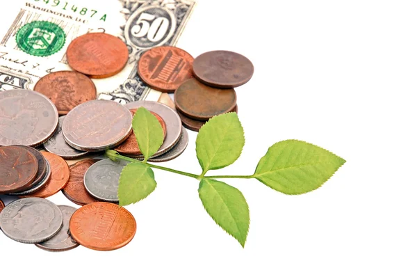 Money and green leaf — Stock Photo, Image