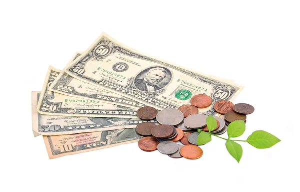 Peníze a zelený list — Stock fotografie