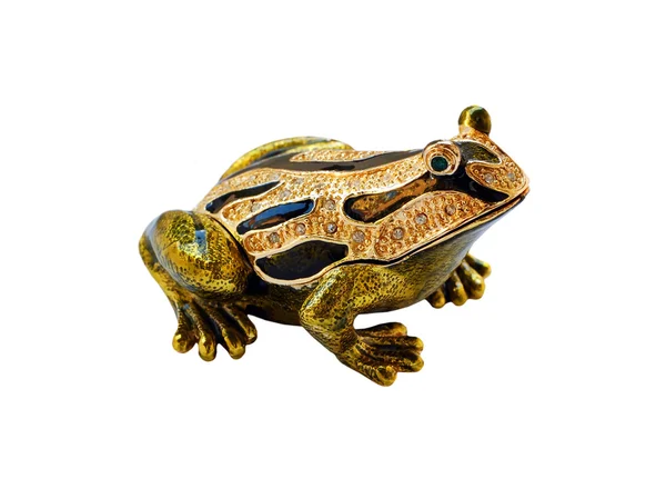 stock image Golden frog