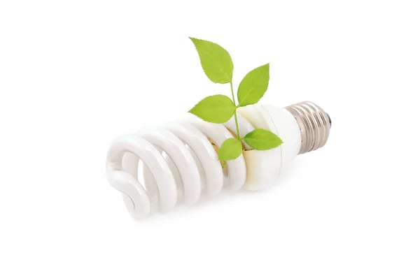 Energy saving light bulb and plant Stock Photo