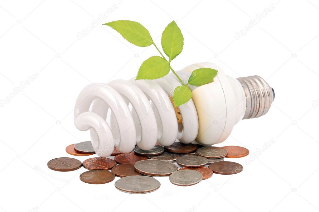 Energy saving light bulb, money and plant