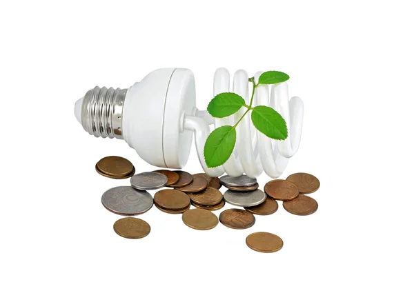 Energy saving light bulb, money and plant — Stock Photo, Image