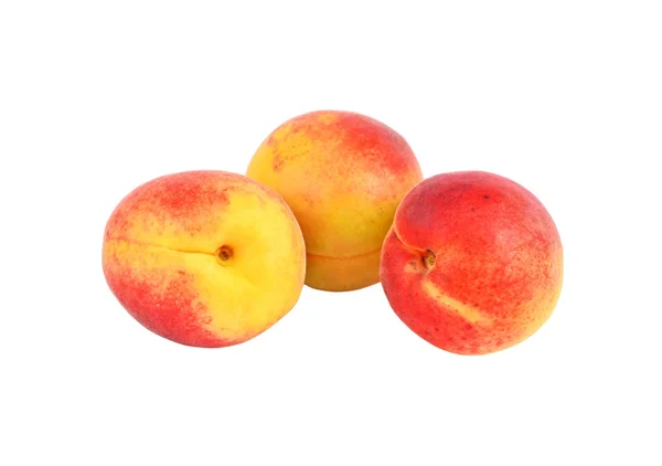 Три стиглі абрикос — стокове фото
