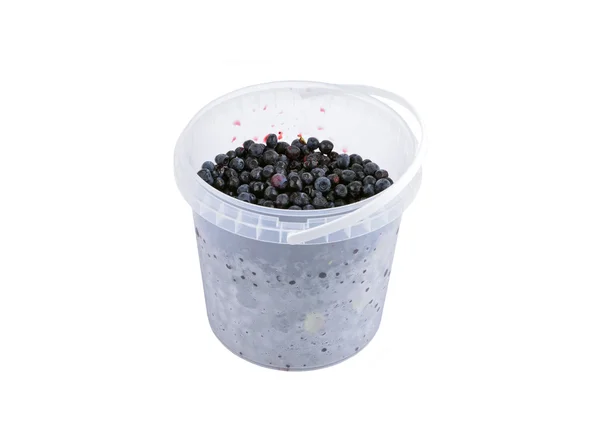 Blueberry in plastic bucket — Stock Photo, Image