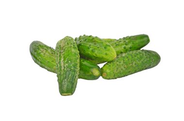 Cucumber gherkin clipart
