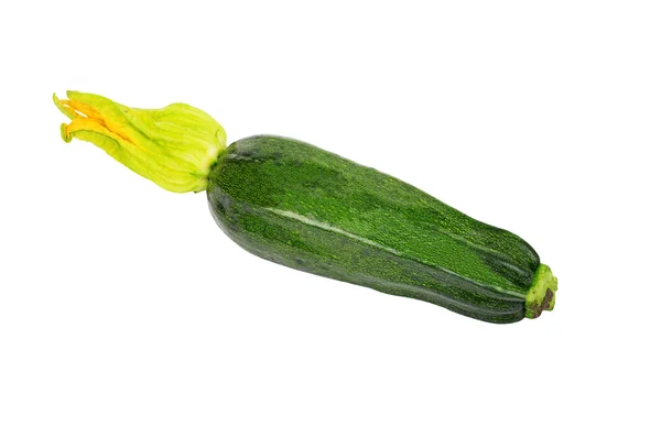 Grünes Gemüsemark (Zucchini)) — Stockfoto