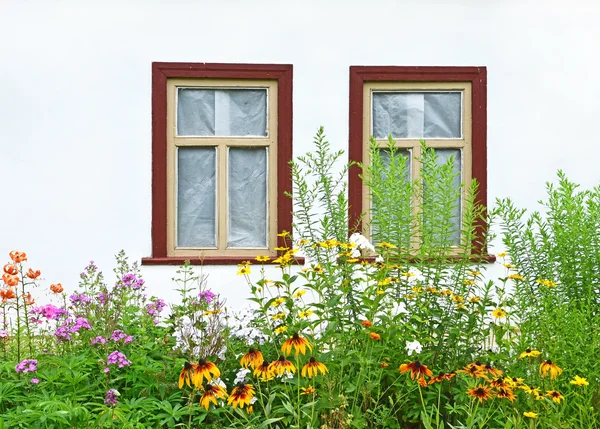 Cama de flores sob janela vintage — Fotografia de Stock
