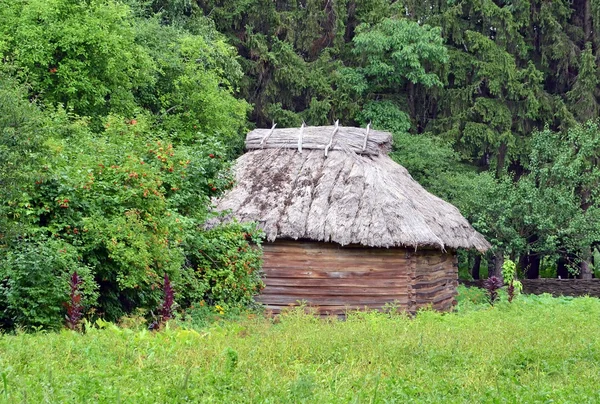 Antico fienile con tetto di paglia — Foto Stock