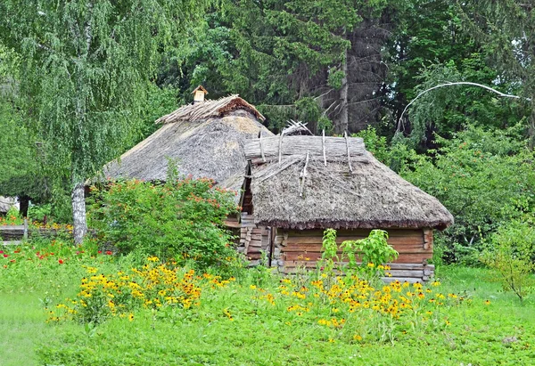 Starożytne chaty i stodoły z dachu krytym słomą — Zdjęcie stockowe