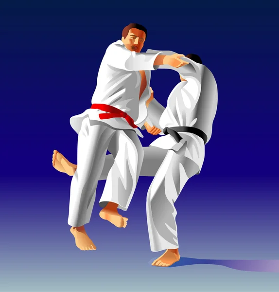 Judo fighters — Stock vektor