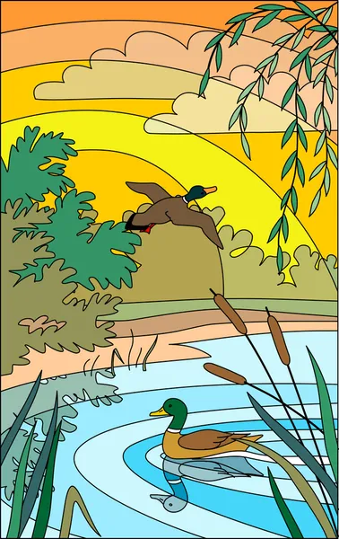 stock vector Landscape with ducks