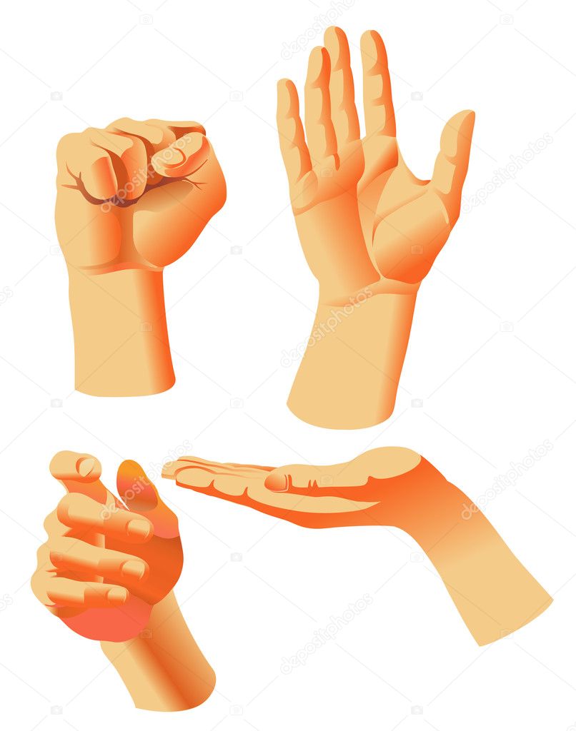 Positions Of Hands — Stock Vector © Tior 5847934 0612