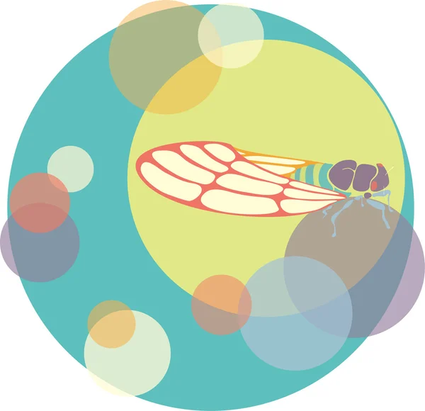 Ağustosböceği — Stok Vektör