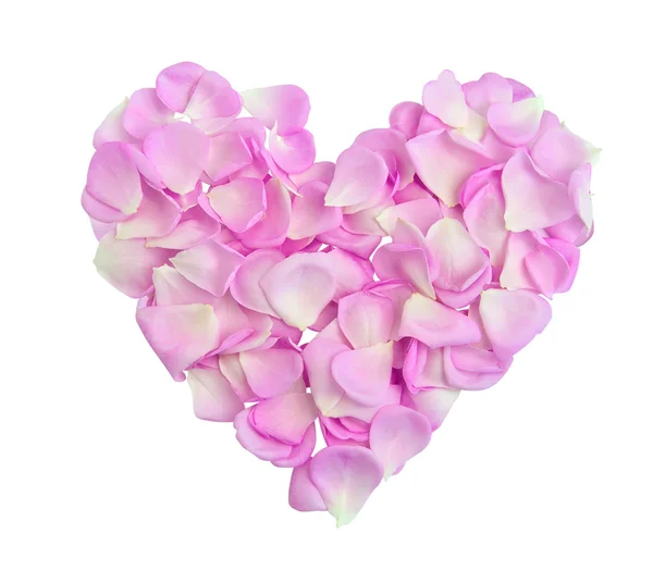 Сердце с розовыми лепестками — стоковое фото