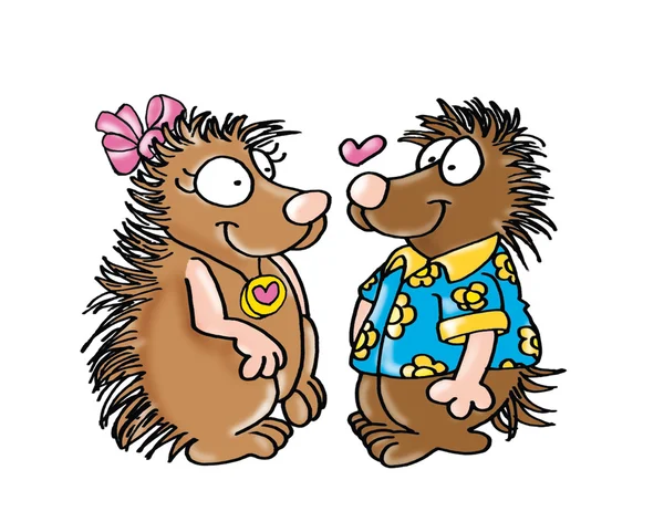 Porcupines in love, — Stock Photo, Image