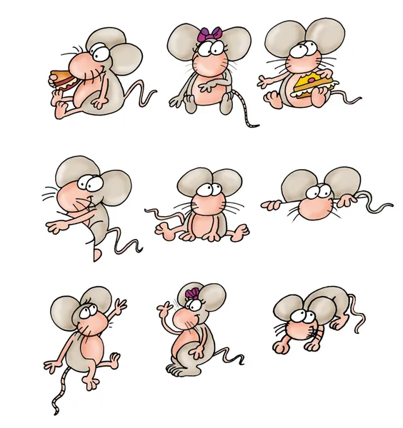大鼠、 小鼠 — 图库照片