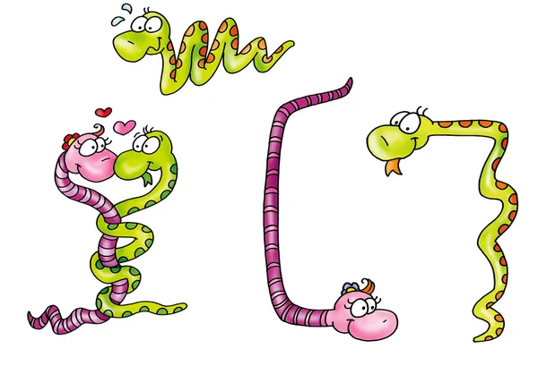 Φίδι, αστείο, χαριτωμένο, λουρίδα, πολύχρωμο, δάγκωμα, — Φωτογραφία Αρχείου