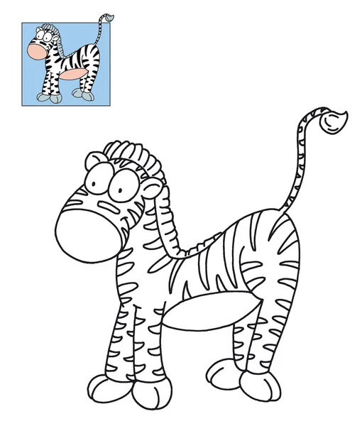Gestreepte zebra — Stockfoto