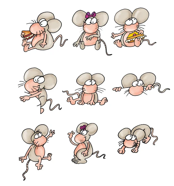 Szczur, mysz, — Zdjęcie stockowe