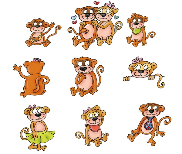 stock image Monkey, love,