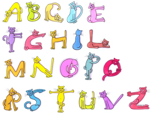 Kedi alfabesi harfleri — Stok fotoğraf