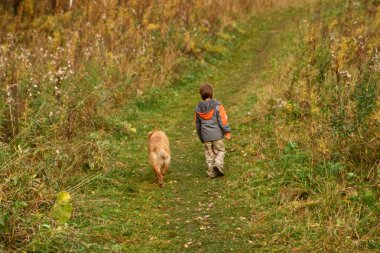 Little Boy and Dog walking outdoor clipart