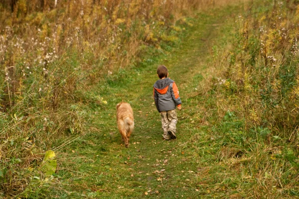 Küçük oğlan ve köpek açık yürüyüş — Stok fotoğraf