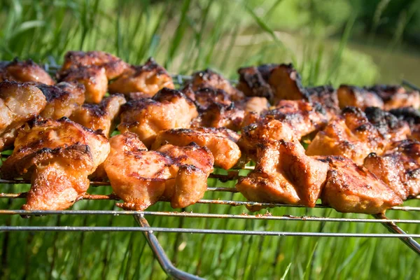 The prepared tasty meat in lattice — Stock Photo, Image