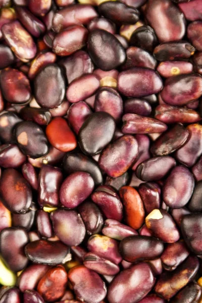 stock image Background from bean vegetables