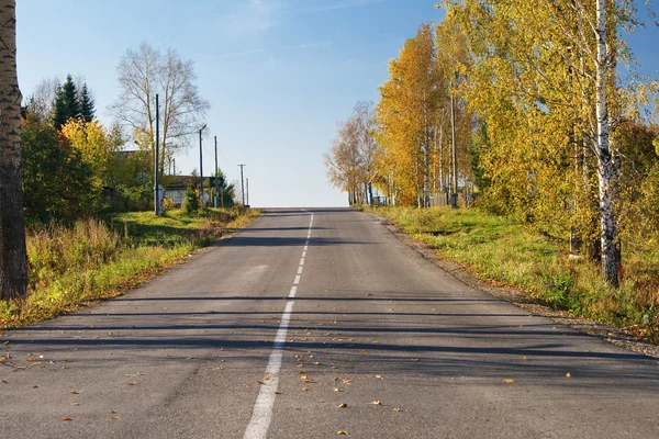 Estrada de asfalto no início da manhã entre árvores de outono e folhagem — Fotografia de Stock