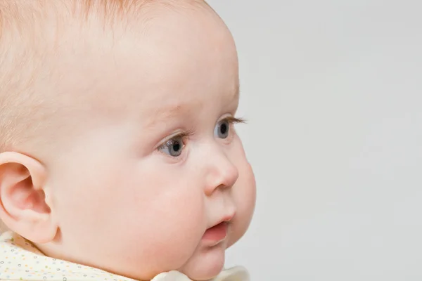 아기 초상화 — 스톡 사진