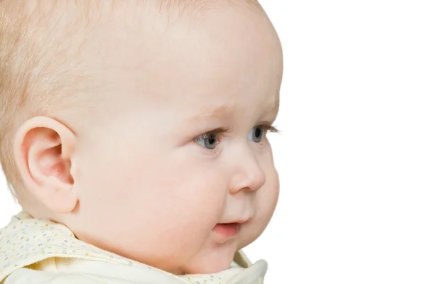 Portrait baby boy Stock Picture